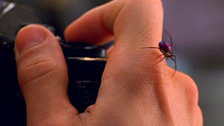 10 ������ ������� �� �������-��� - �� ������� �� ������� �����